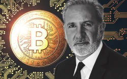 Peter Schiff Explains Why Market Participants Are Flocking to Bitcoin, Rather Than Gold, Now